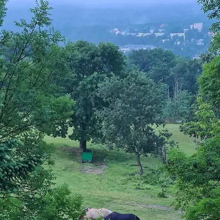 Casa Del Svana Apartment *