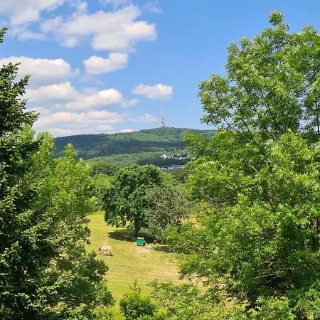 Casa Del Svana * براتسيلافا